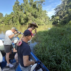 Tour en Bote Colectivo