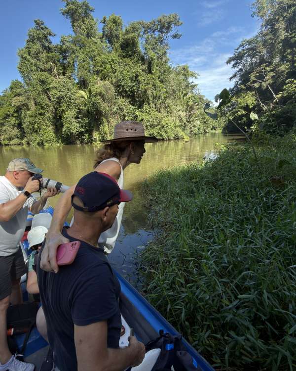 Tour en Bote Colectivo