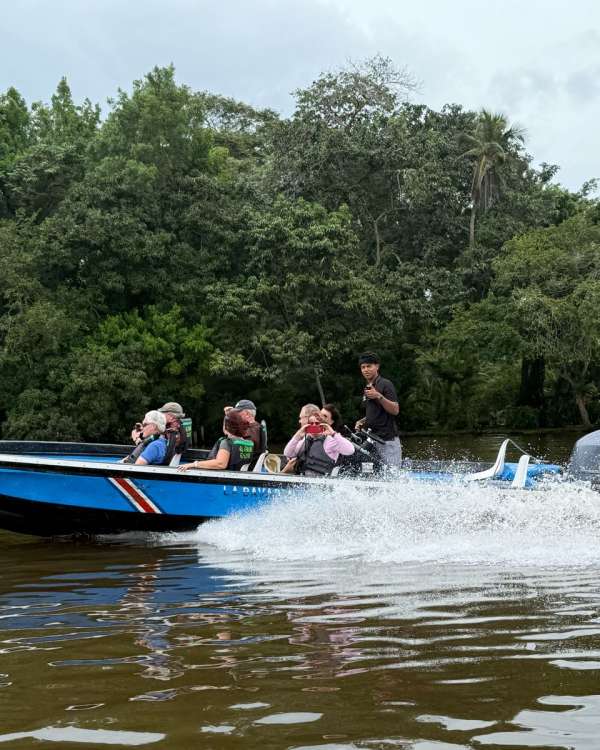 Transporte Colectivo