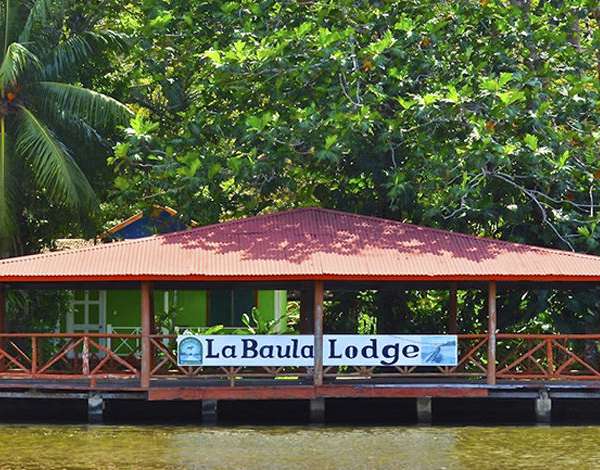Hotel Baula Lodge