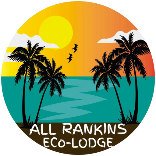 Transporte Tortuguero