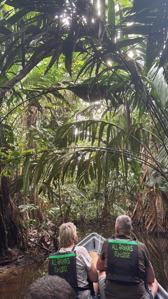 Fotografía de Tortuguero 10